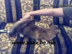Arab sex party